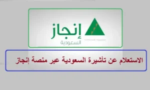 إنجاز الاستعلام عن خدمات التأشيرات برقم الهوية وشروط الحصول على التأشيرة