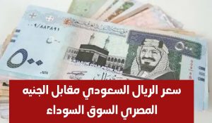 سعر الدولار اليوم