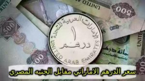 سعر الدرهم الاماراتي