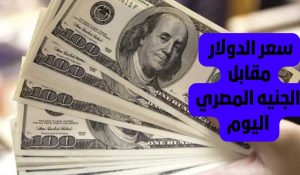 سعر الدولار أمام الجنيه المصري اليوم