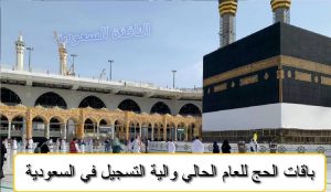 باقة حج اليوم الواحد عام 1445