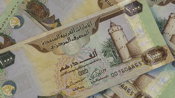 سعر الدرهم الاماراتي