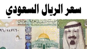 تحديثات مباشرة بشأن سعر الريال السعودي مقابل الجنيه المصري اليوم الثلاثاء 4/6/2024