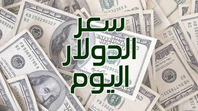 سعر الدولار أمام الجنيه المصري اليوم