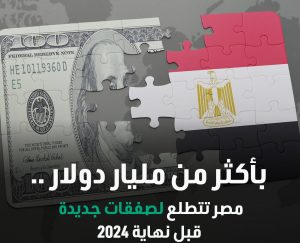 برنامج الطروحات الحكومية