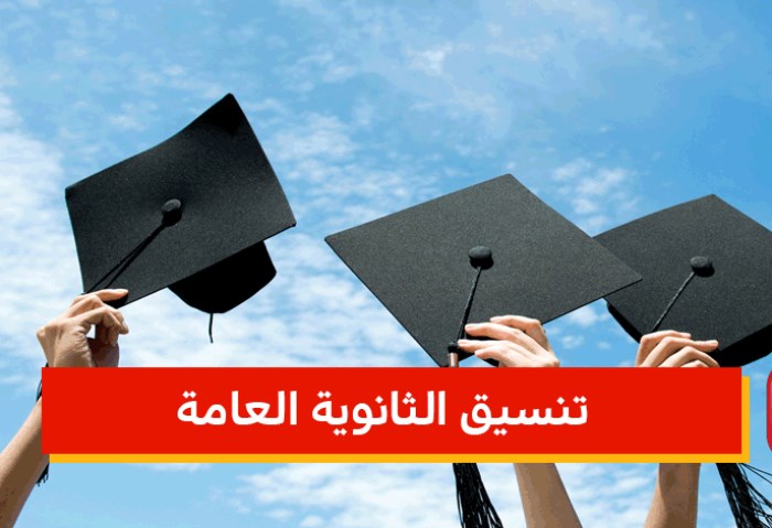 تنسيق الثانوية العامة 2024