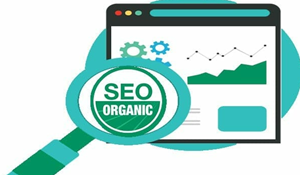 هي نتائج البحث الطبيعة غير المدفوعة Organic Search 3