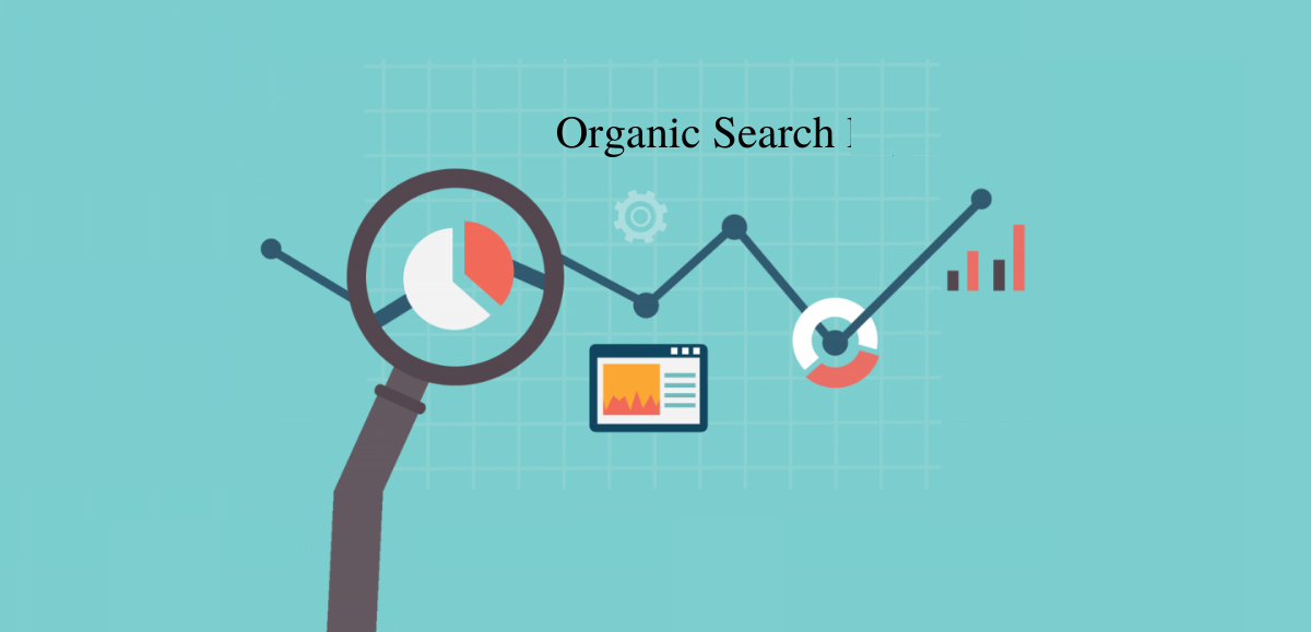 هي نتائج البحث الطبيعة غير المدفوعة Organic Search