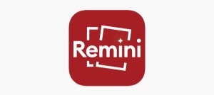 Remini